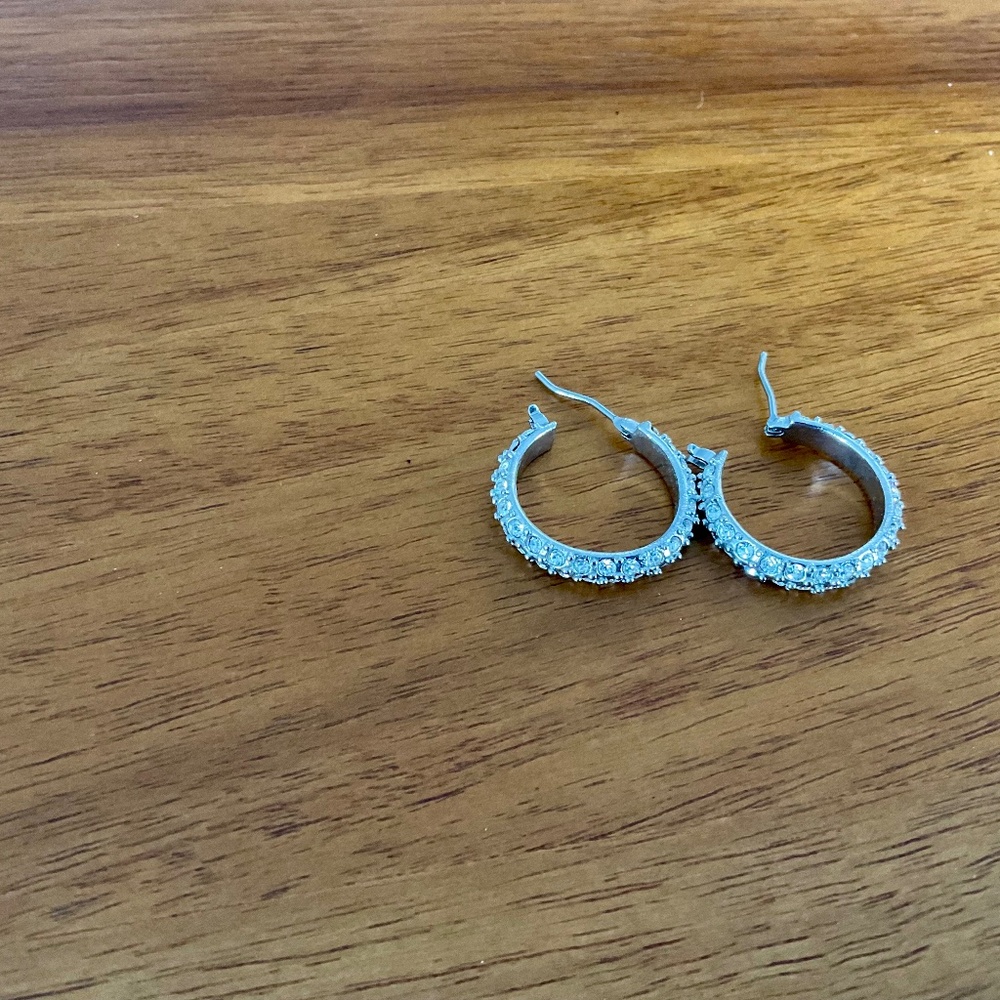 Sterling silver earrings